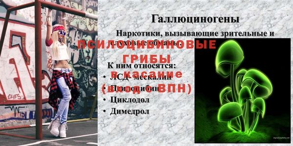 молекула духа Баксан