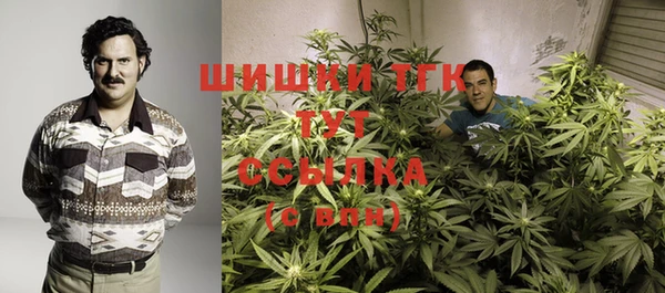 гидра Балахна