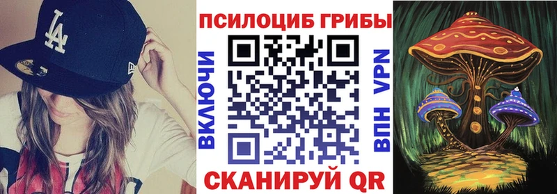 блэк спрут вход  Ершов  Псилоцибиновые грибы мицелий 